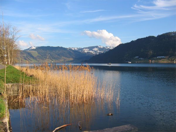 aegerisee